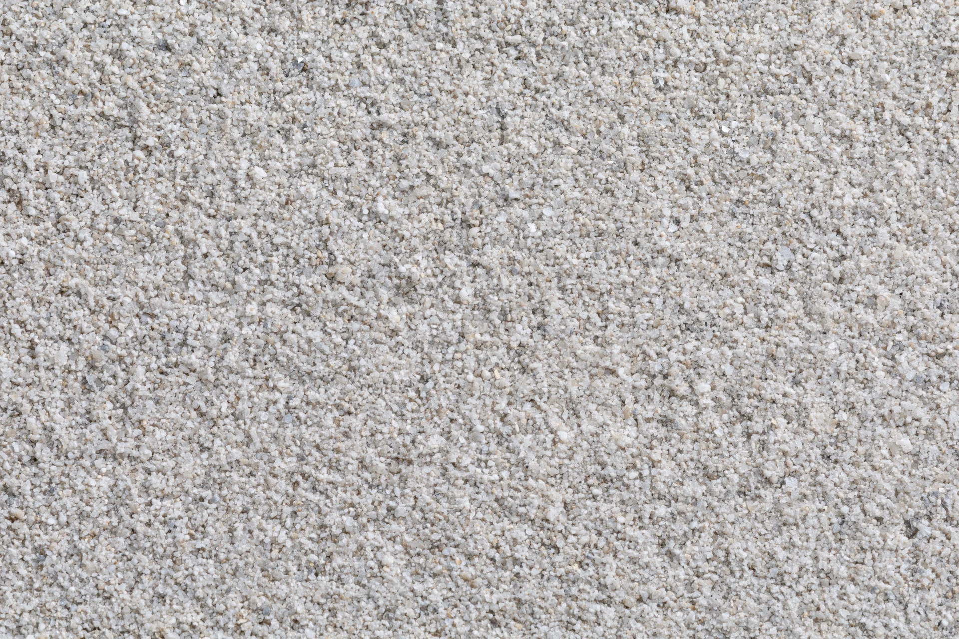 Close-up of fine granular surface texture with dense particles in neutral tones