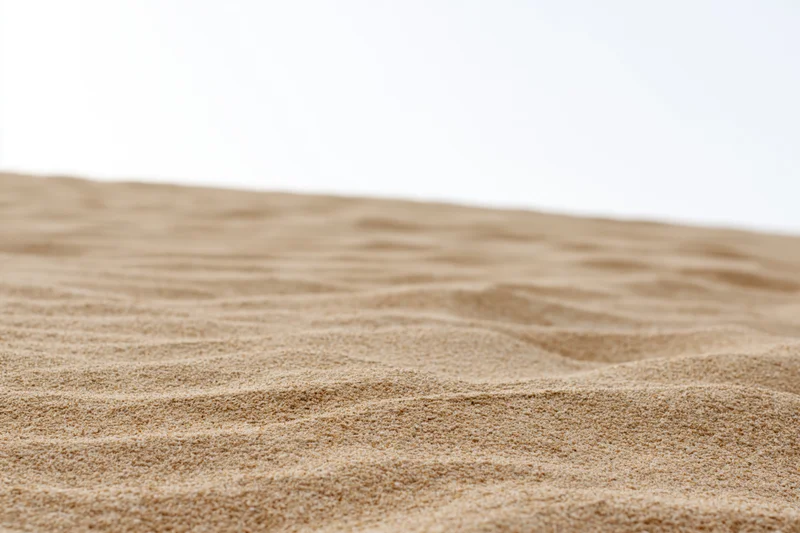 Close-up of dry beach sand with ripples and texture filling the frame against a white background