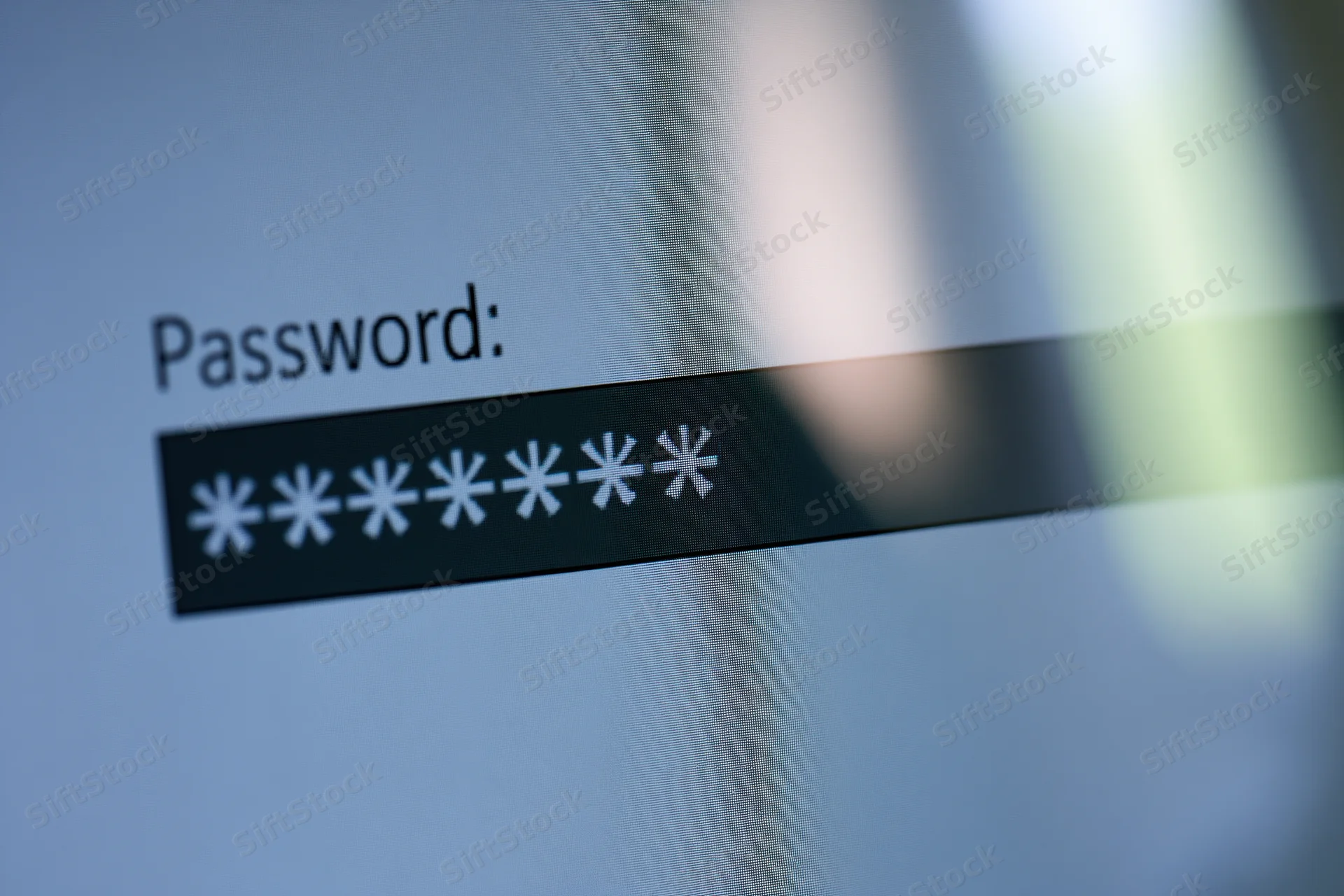 Close-up of password field on computer screen showing masked characters