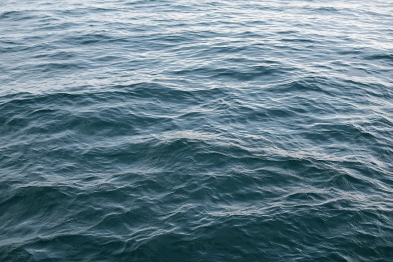 Calm ocean surface with gentle waves and ripples under daylight