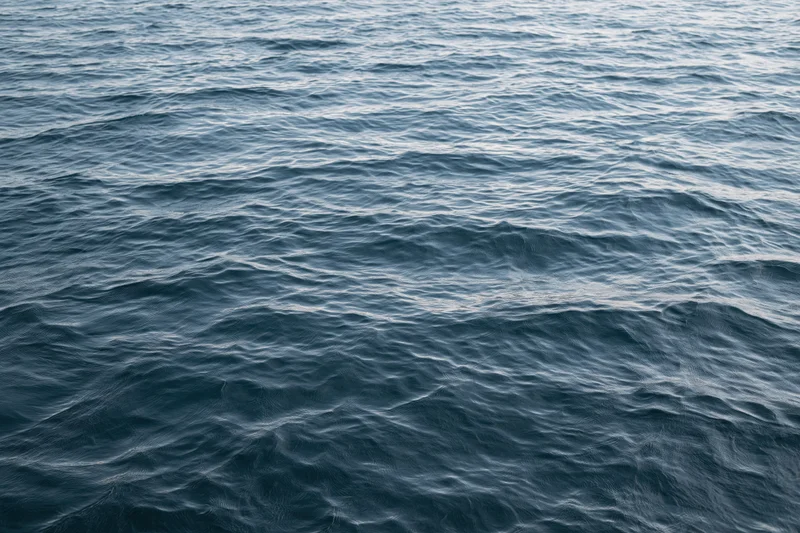 Calm ocean surface with gentle waves and ripples under natural light