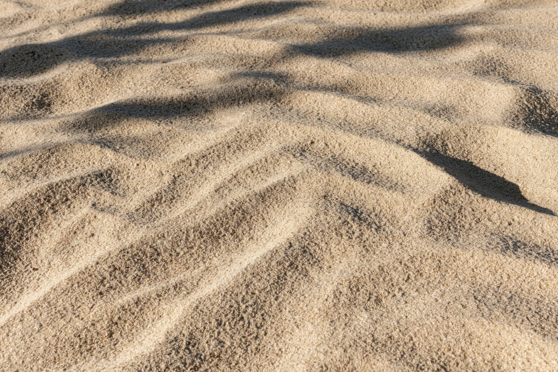 Closeup of rippled dry beach sand surface under sunlight