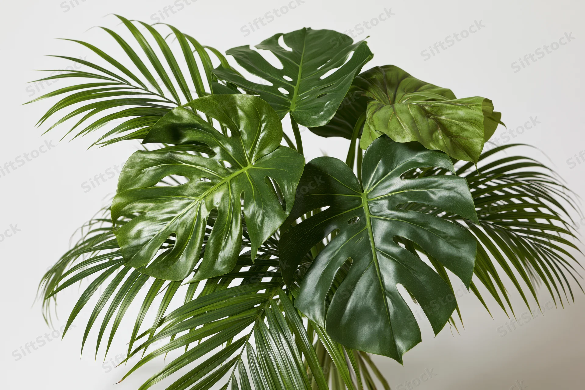 Cluster of monstera and palm leaves arranged in a loose bouquet against white background