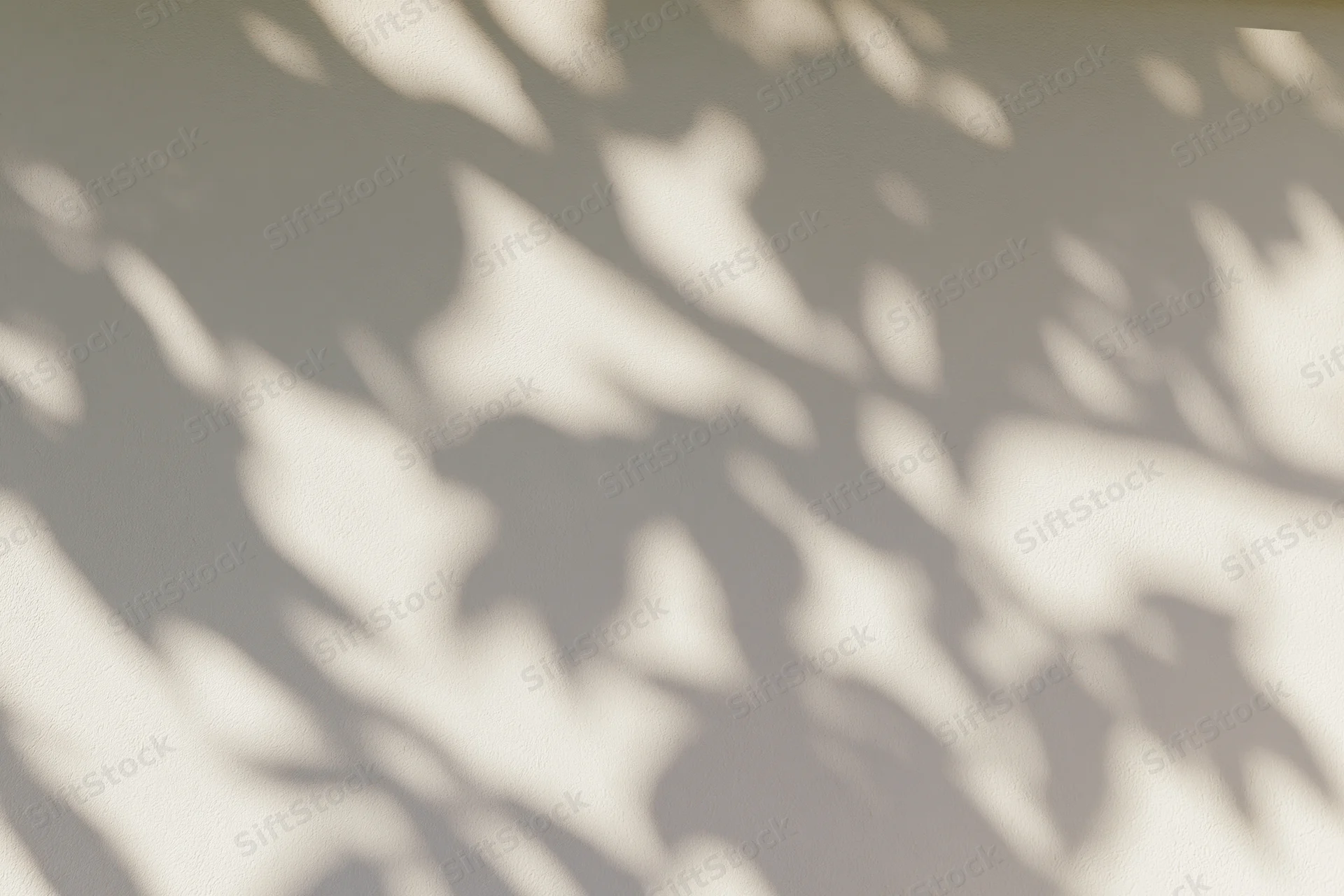 Dappled shadows of leaves and branches cast across a smooth plaster wall