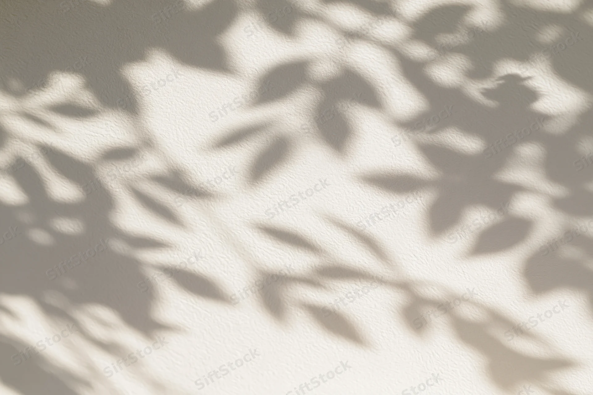Dappled leaf and branch shadows cast across a smooth plaster wall