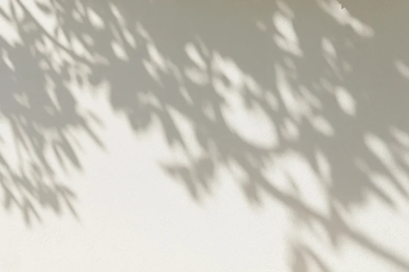 Dappled shadows of leaves and branches on a smooth plaster wall