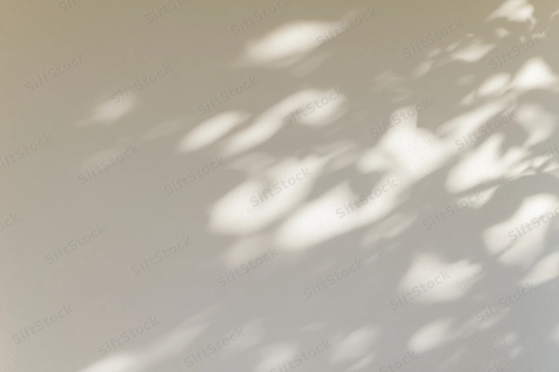 Dappled leaf shadows and soft light patches cast across a plain wall