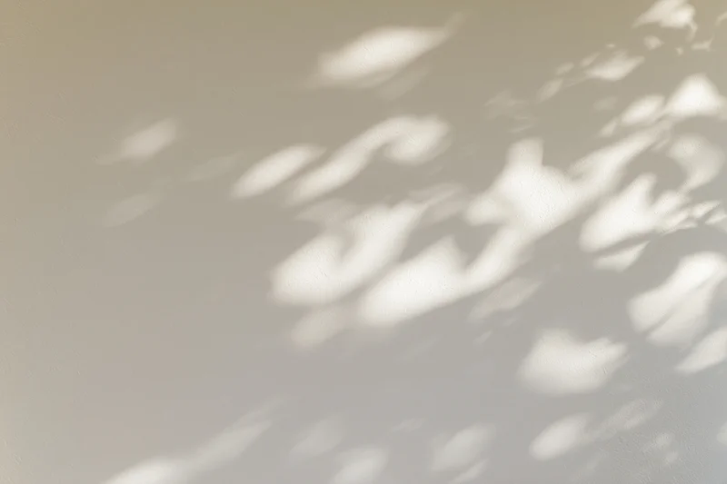 Dappled leaf shadows and soft light patches cast across a plain wall