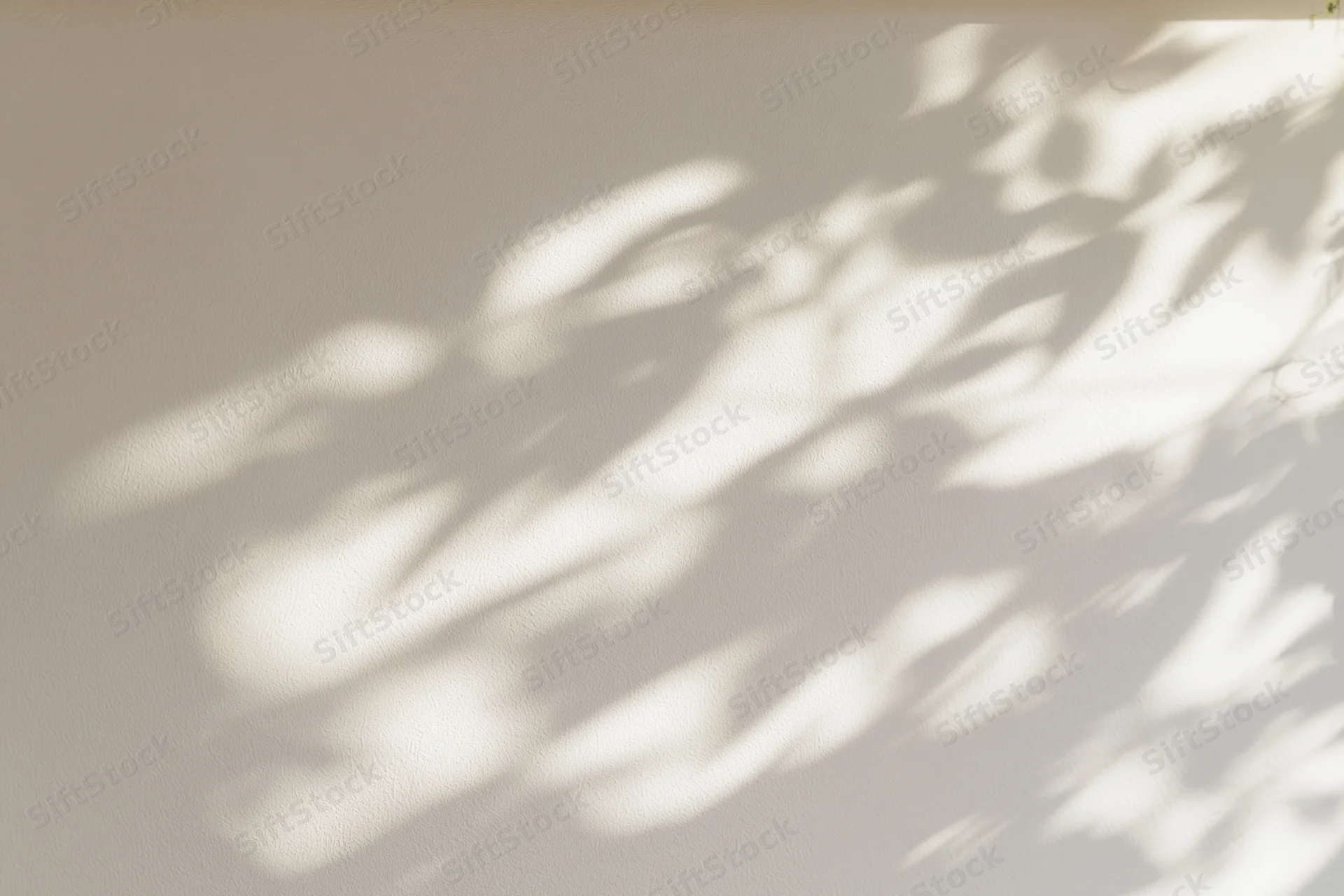 Dappled leaf shadows and soft light patches cast across a plain wall indoors