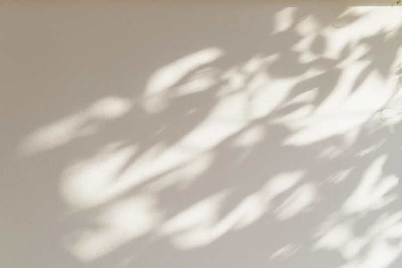 Dappled leaf shadows and soft light patches cast across a plain wall indoors