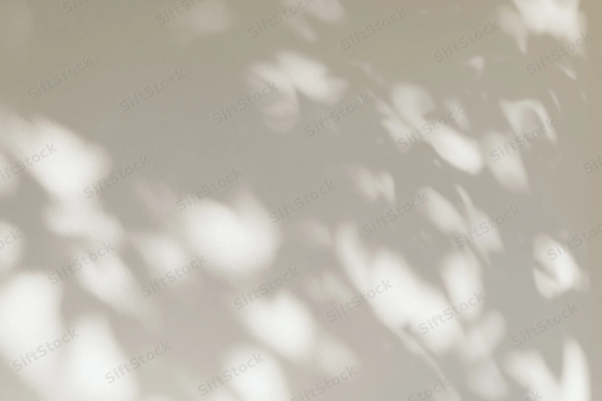 Dappled leaf shadows and soft light patches cast across a plain surface