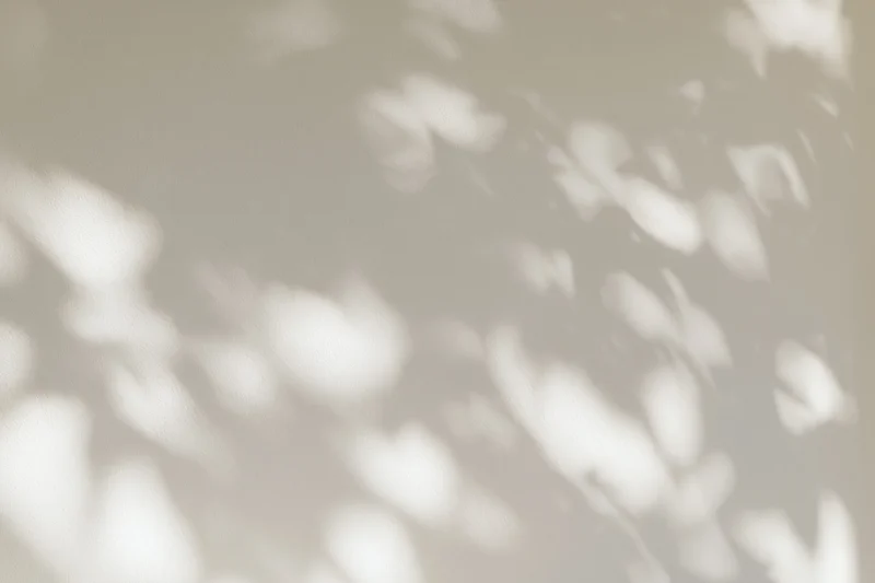 Dappled leaf shadows and soft light patches cast across a plain surface