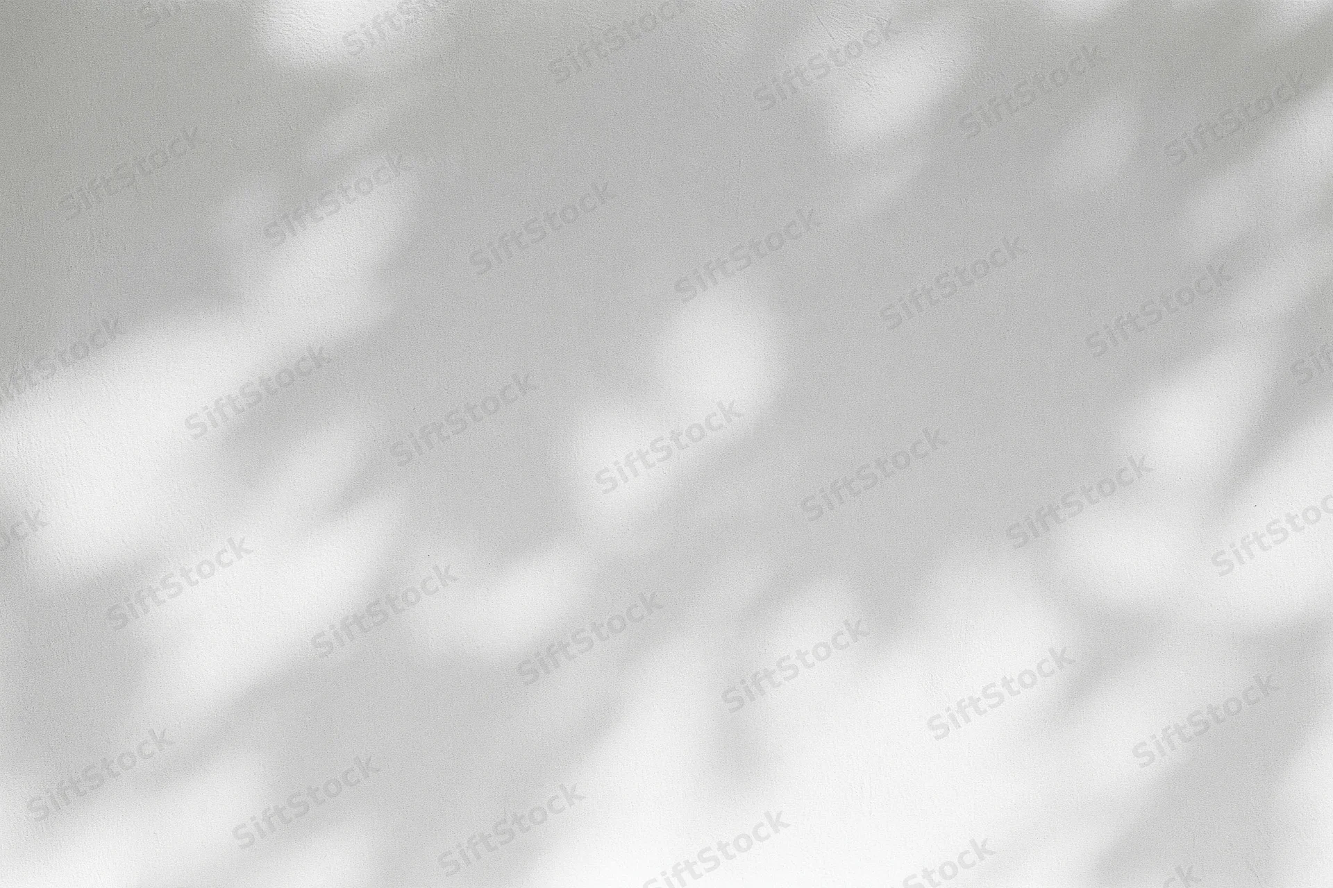 Dappled leaf shadows cast across a plain white plaster wall