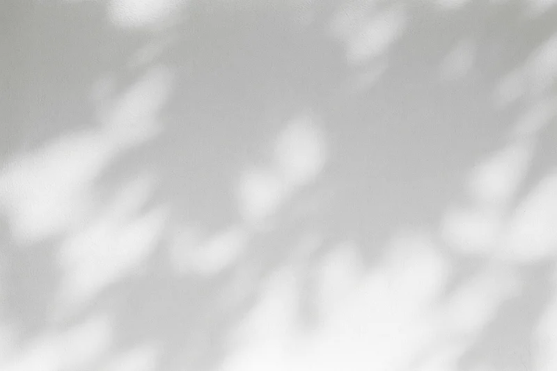Dappled leaf shadows cast across a plain white plaster wall