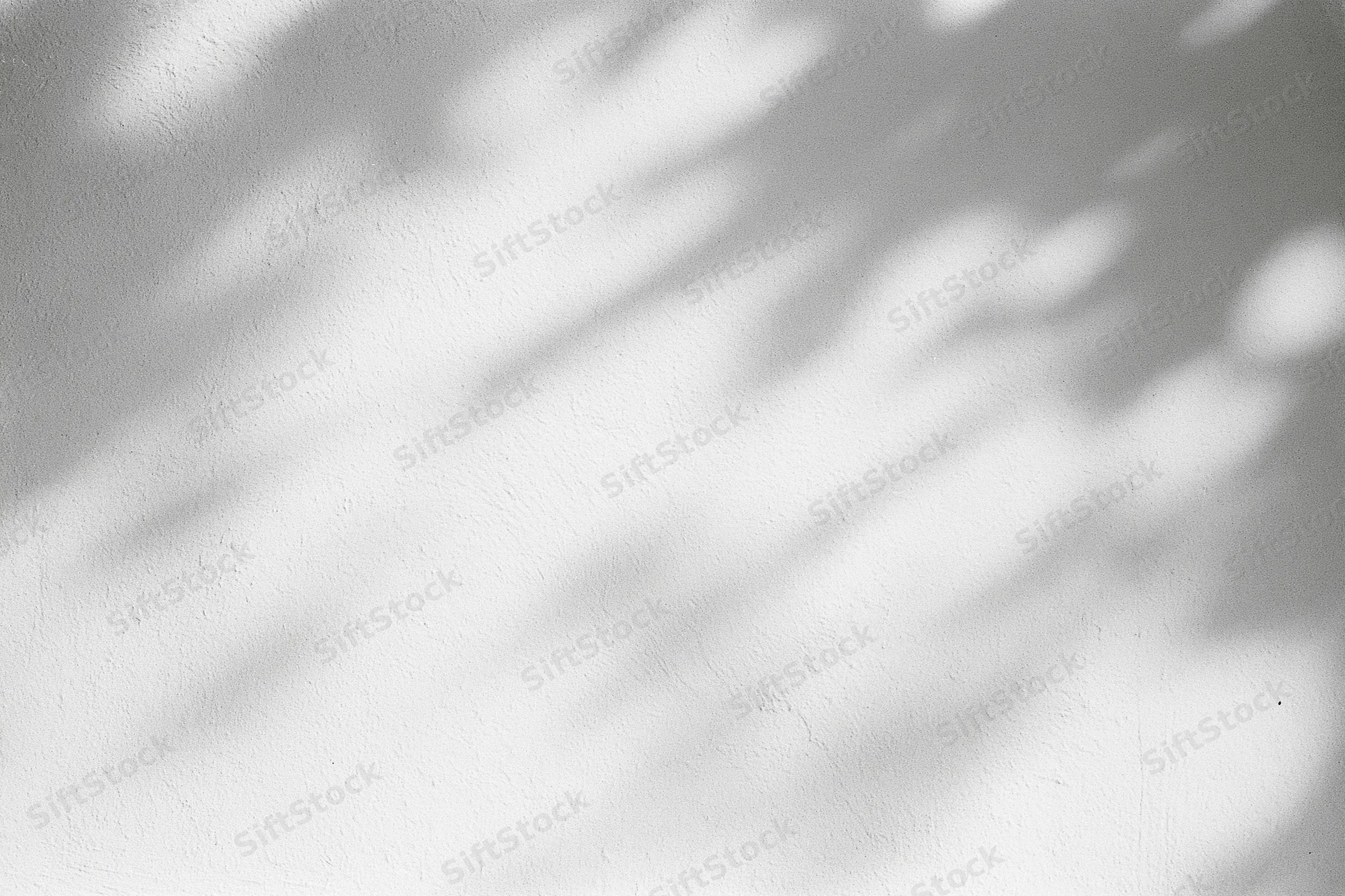 Dappled leaf shadows on a white plaster wall