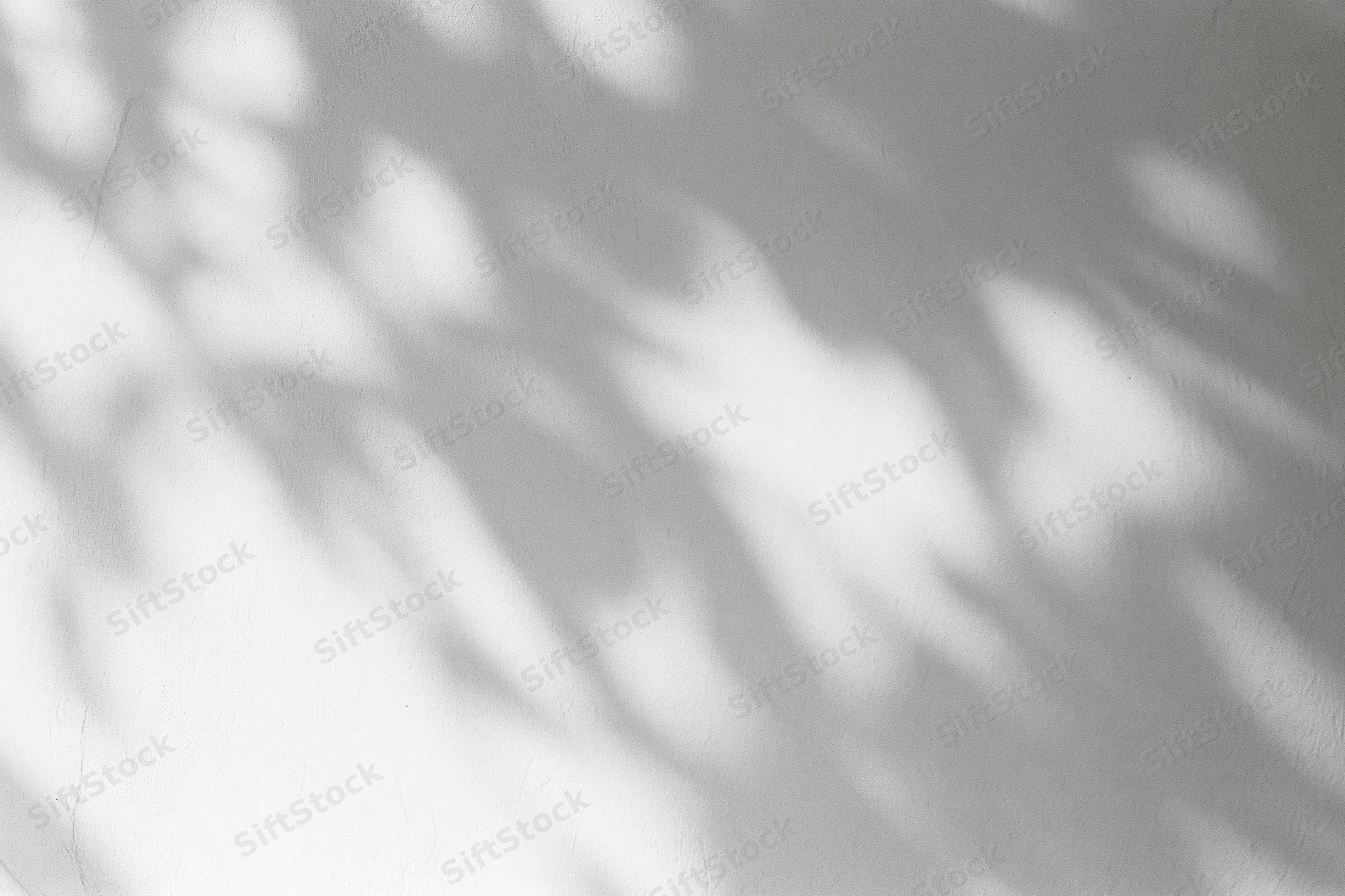 Dappled leaf shadows on a white plaster wall in natural sunlight