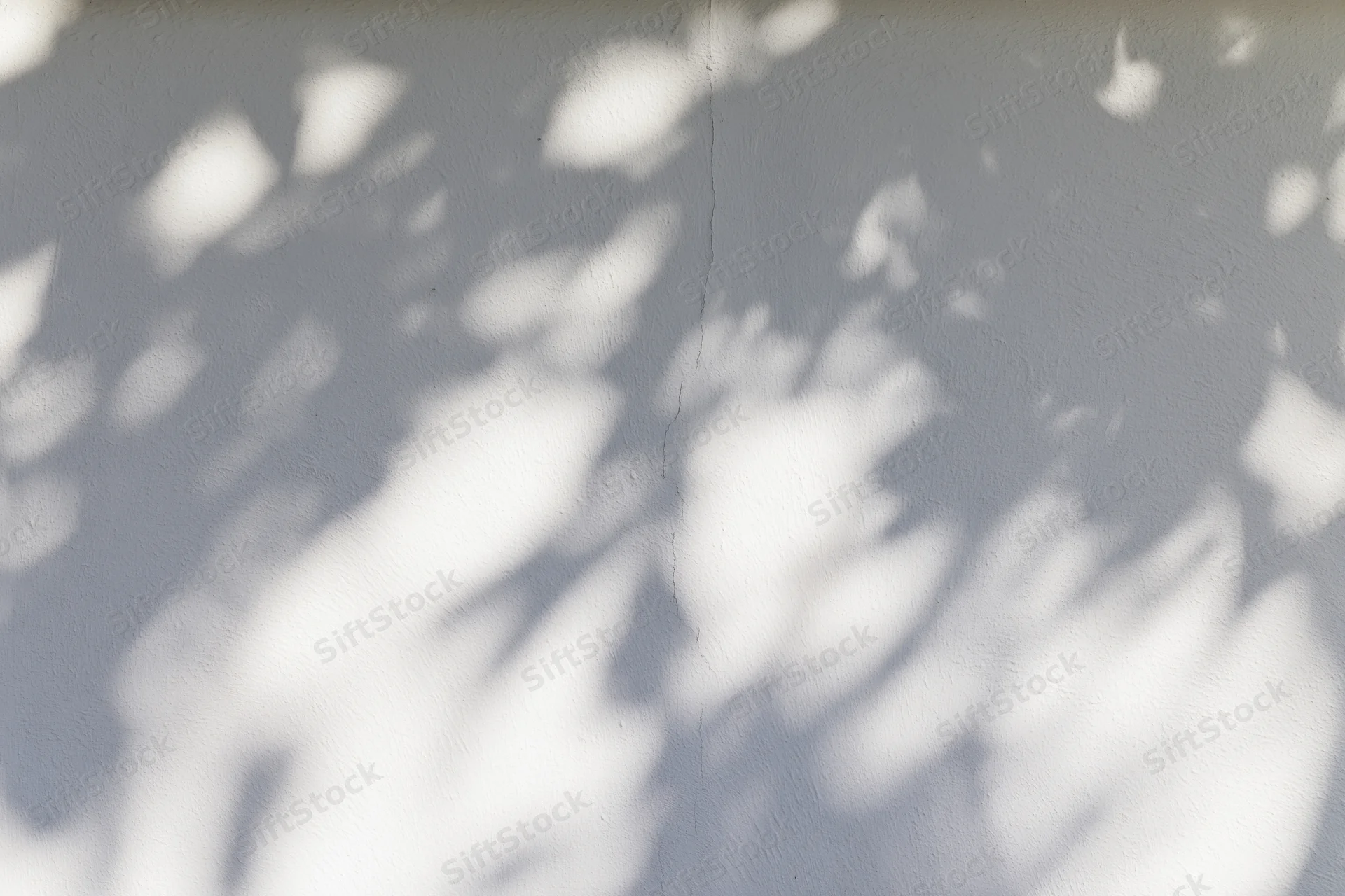 Dappled leaf shadows on a white plaster wall outdoors