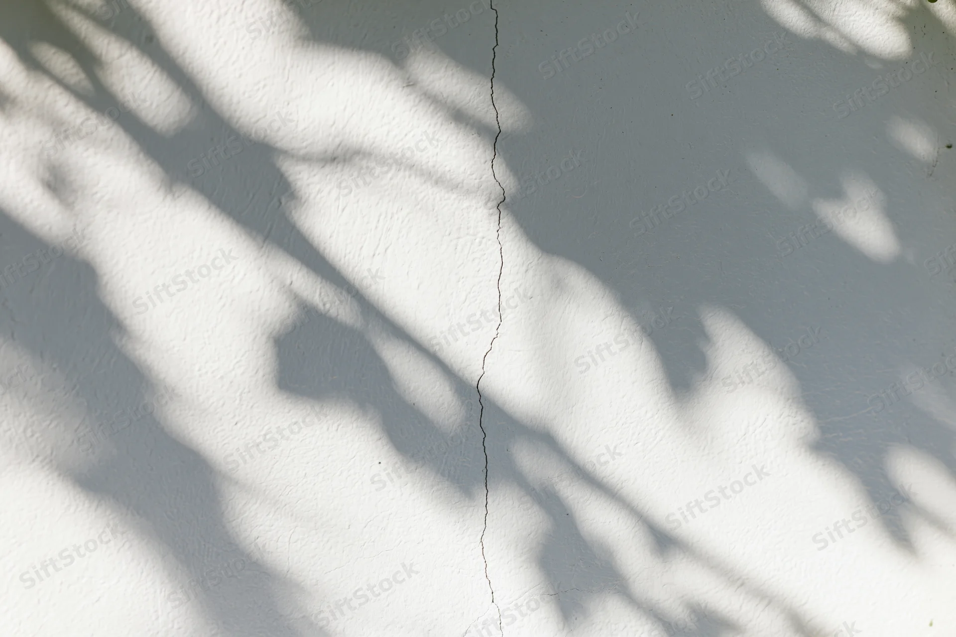 Dappled leaf shadows cast across a cracked white plaster wall outdoors