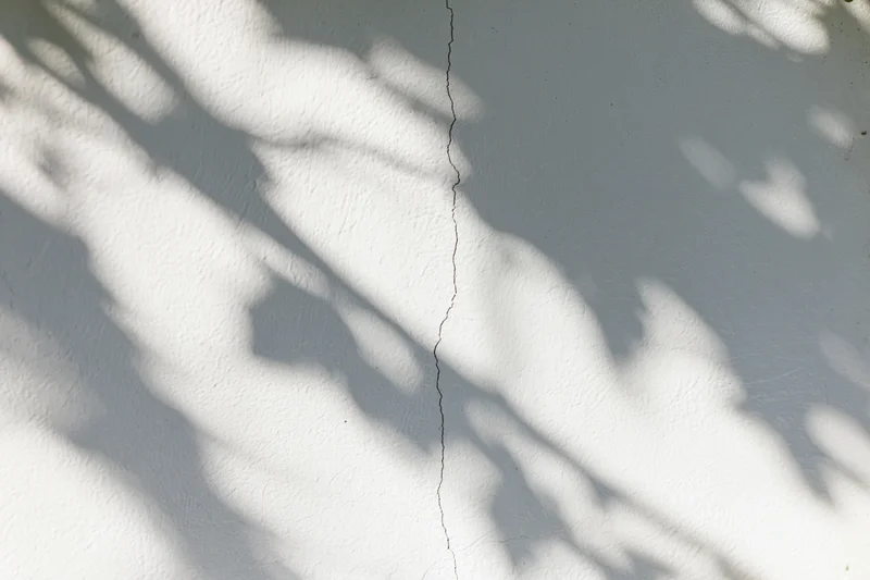 Dappled leaf shadows cast across a cracked white plaster wall outdoors