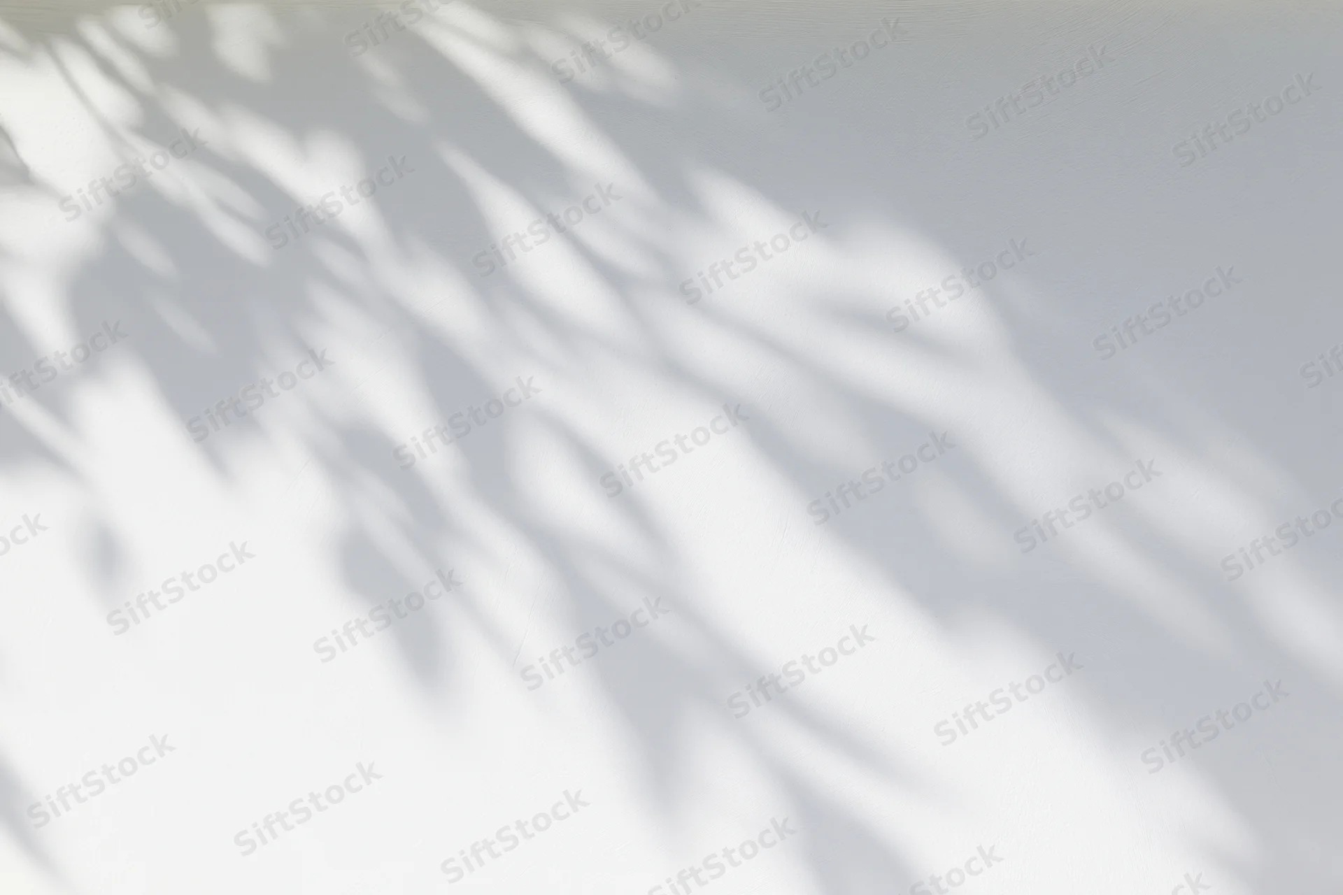 Dappled leaf shadows cast across a plain white wall in soft natural light