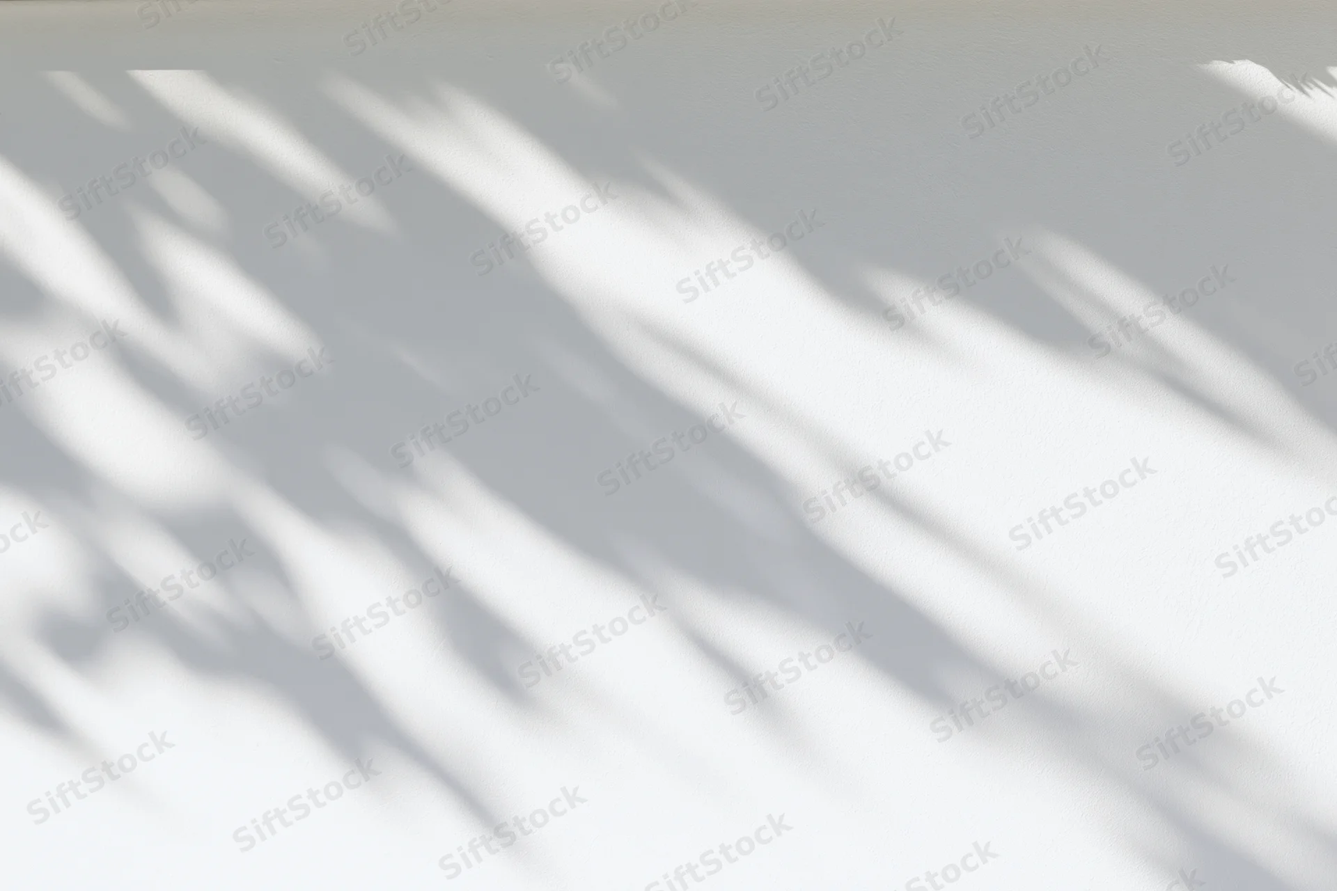 Dappled leaf shadows cast across a plain white wall