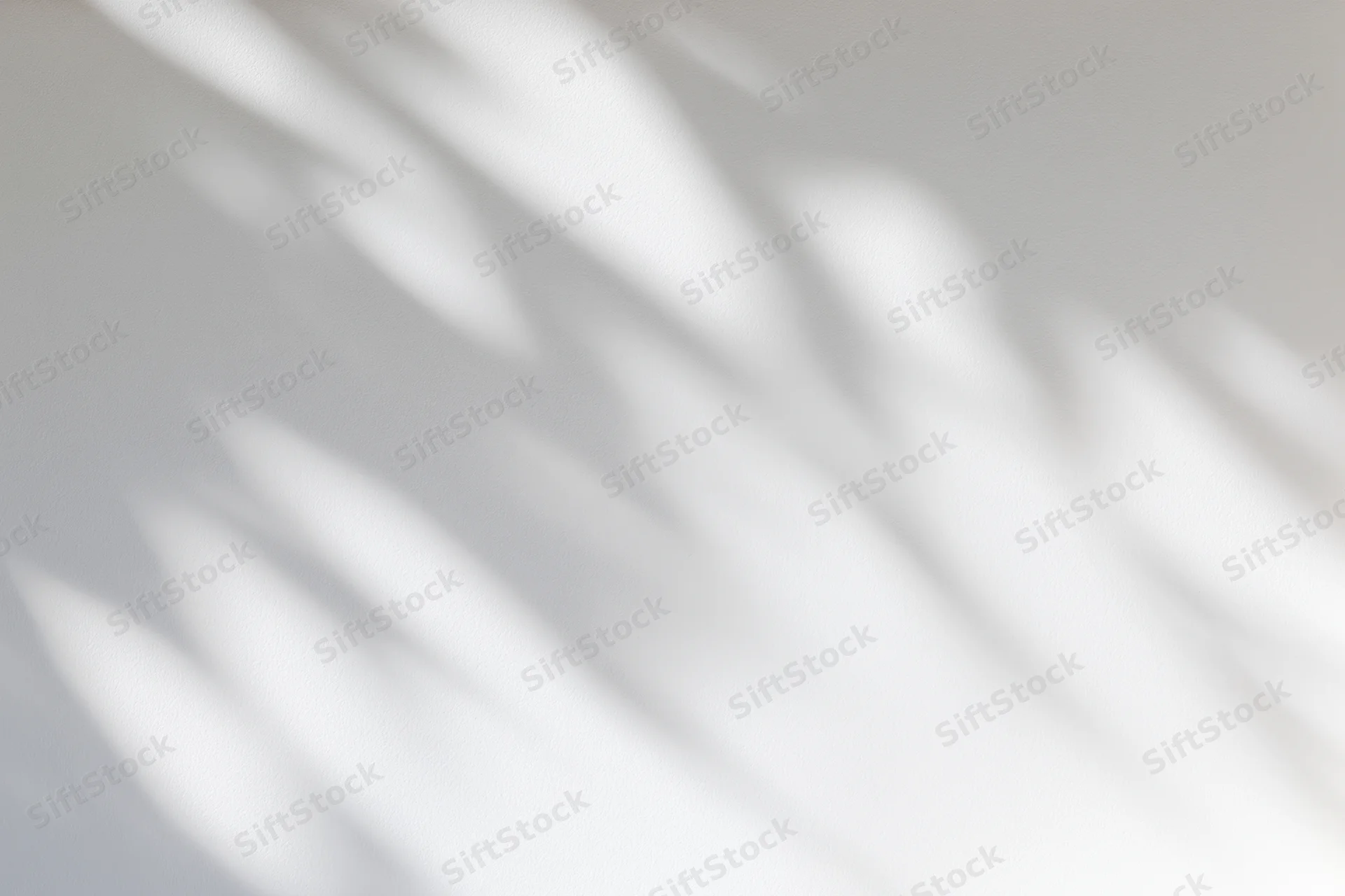 Dappled leaf shadows cast across a plain white wall
