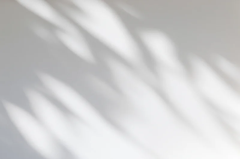 Dappled leaf shadows cast across a plain white wall