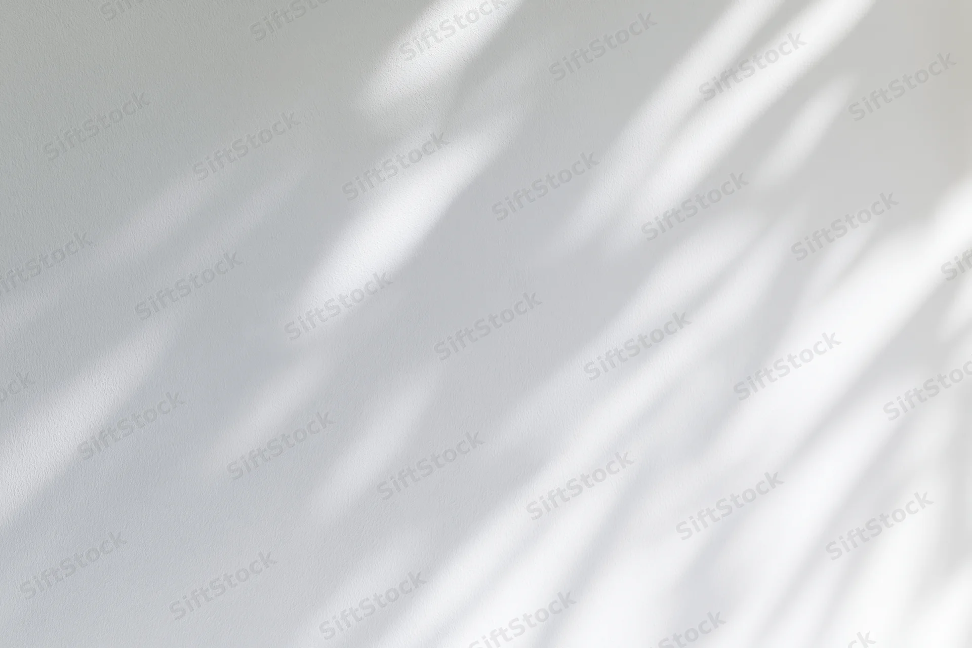 Dappled leaf shadows cast across a plain white wall