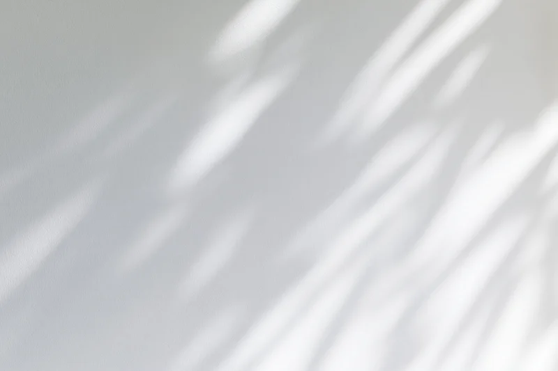 Dappled leaf shadows cast across a plain white wall