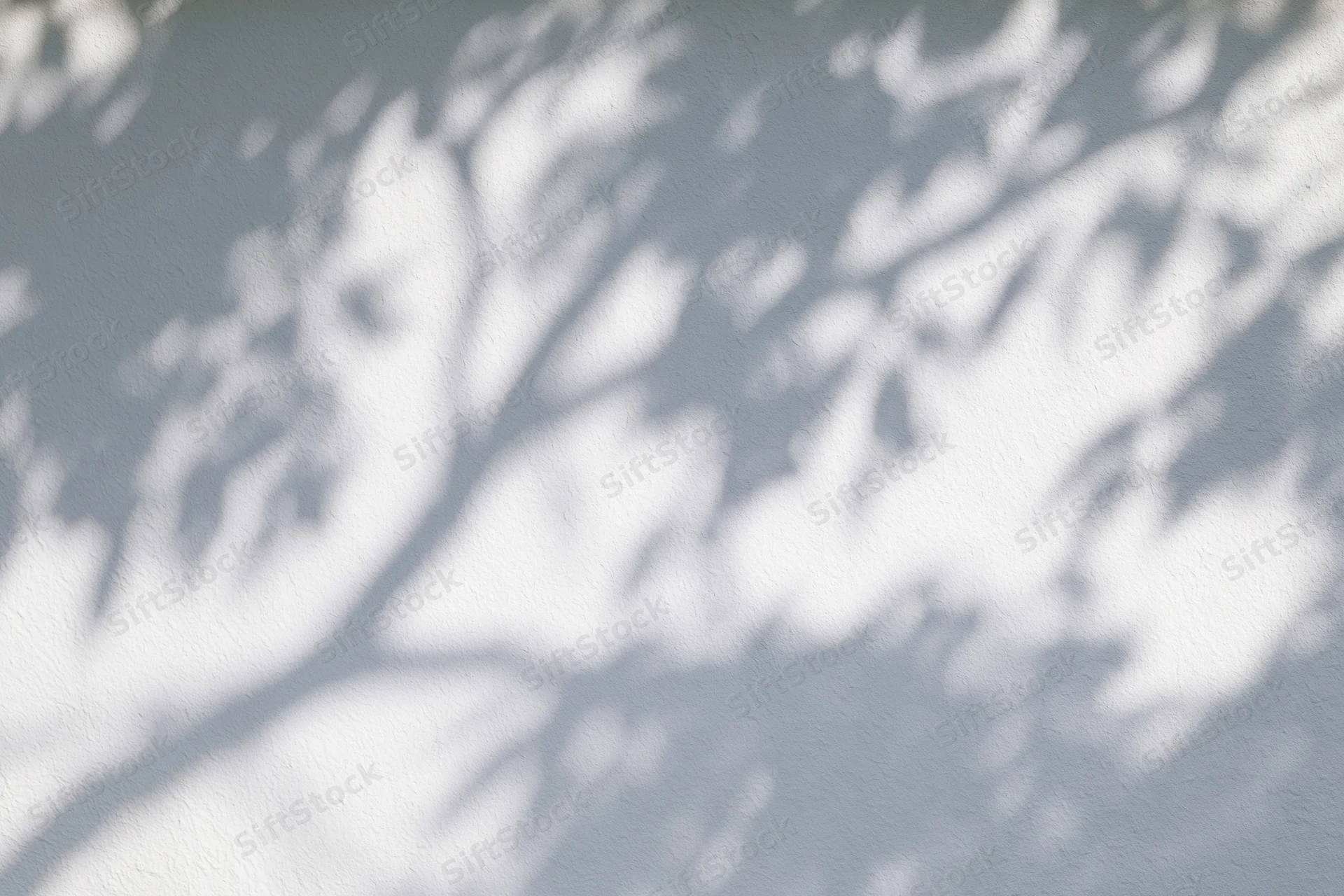 Dappled tree shadows cast on a textured gray wall in natural daylight