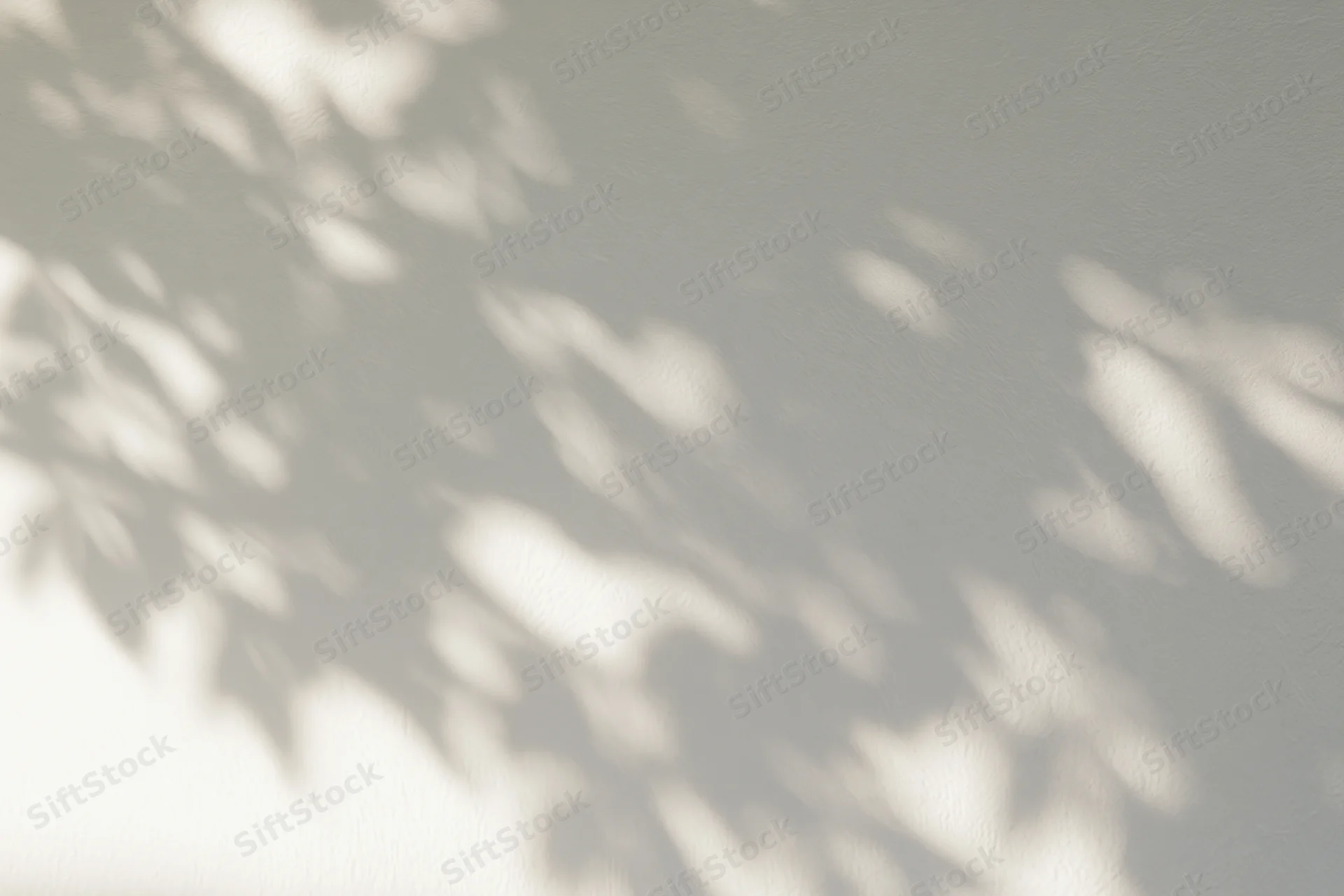 Dappled sunlight filtering through leaves casting soft shadows on a textured wall