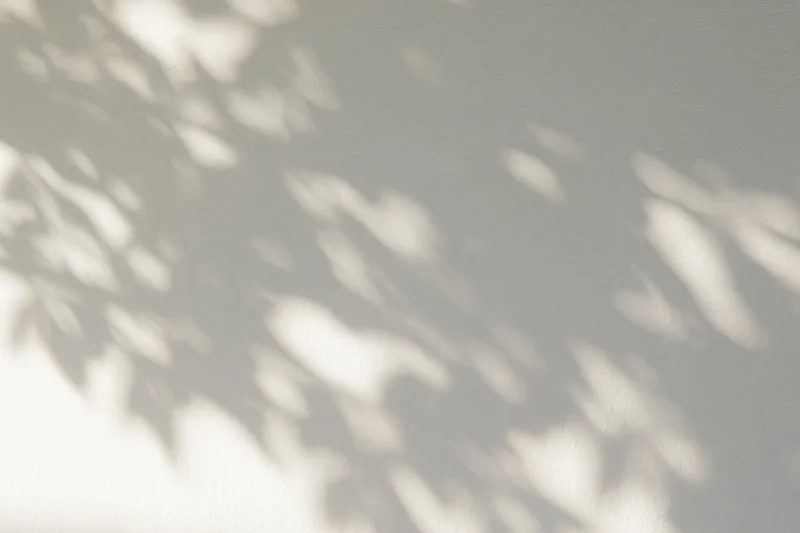 Dappled sunlight filtering through leaves casting soft shadows on a textured wall