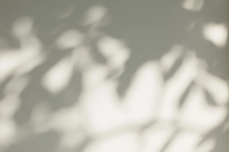 Dappled sunlight filtering through leaves casting soft shadows on a surface