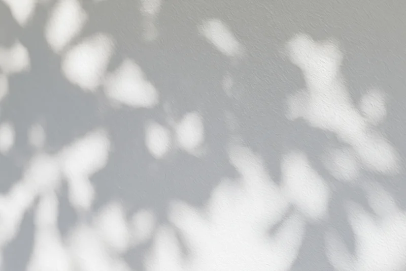 Dappled sunlight filtering through leaves casting soft shadows on a textured wall