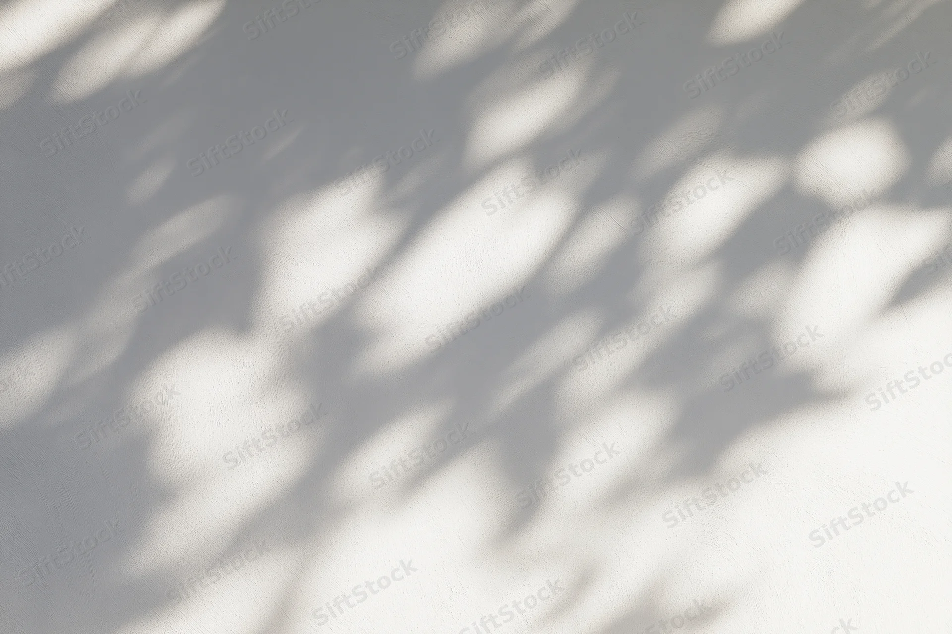 Dappled sunlight filtering through leaves casting soft shadows on a white wall