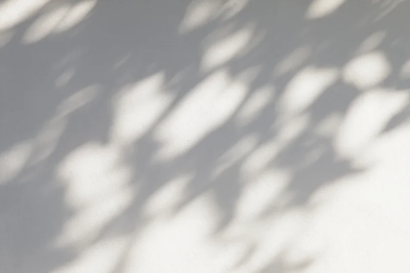 Dappled sunlight filtering through leaves casting soft shadows on a white wall