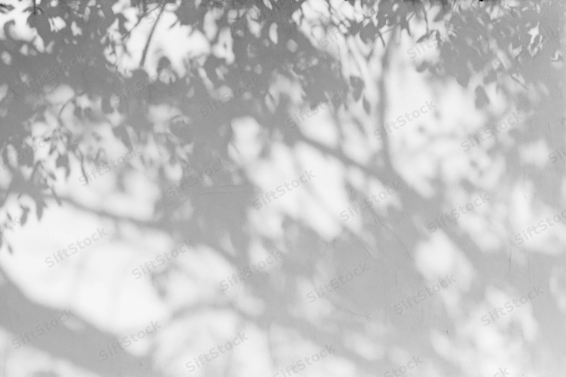 Dappled shadows of tree branches and leaves cast across a white surface outdoors