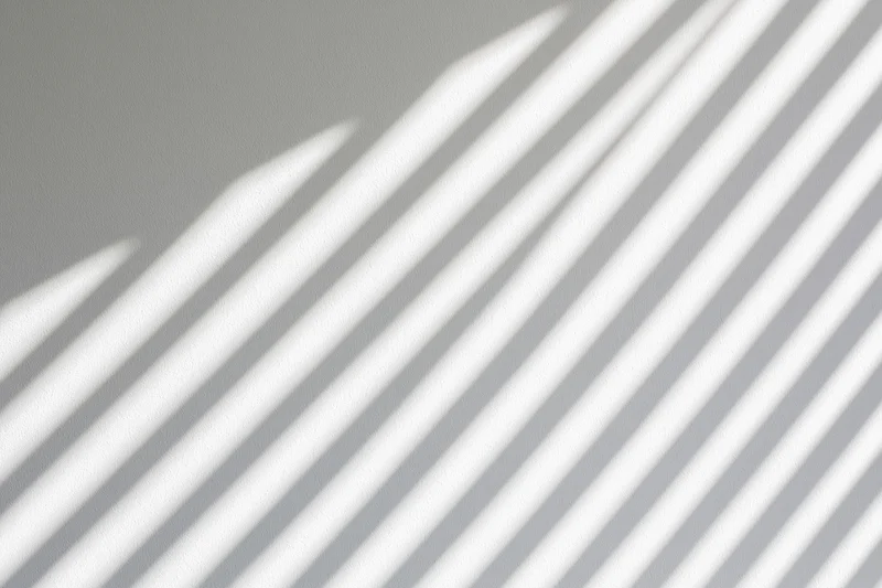 Diagonal shadow stripes from window blinds cast across a plain gray wall