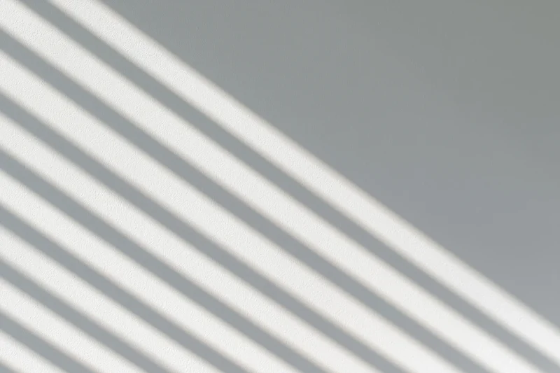 Diagonal shadow stripes from window blinds cast across a plain gray wall