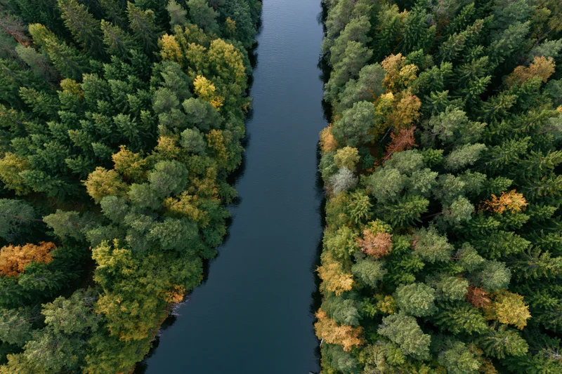 Aerial view of a narrow river cutting through a dense forest with autumn foliage
