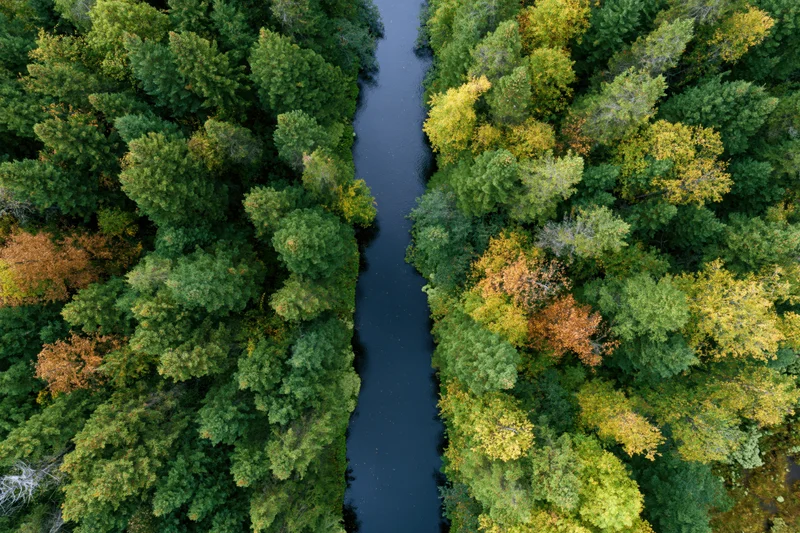 Overhead aerial view of a narrow river winding through a dense forest with autumn foliage