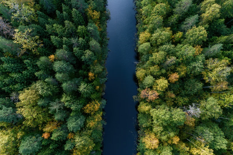 Overhead aerial view of a narrow river flanked by dense forest with autumn foliage