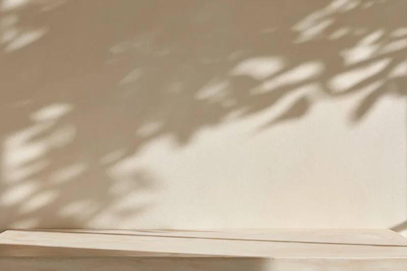 Smooth cream plaster wall with wooden shelf and dappled leaf shadows