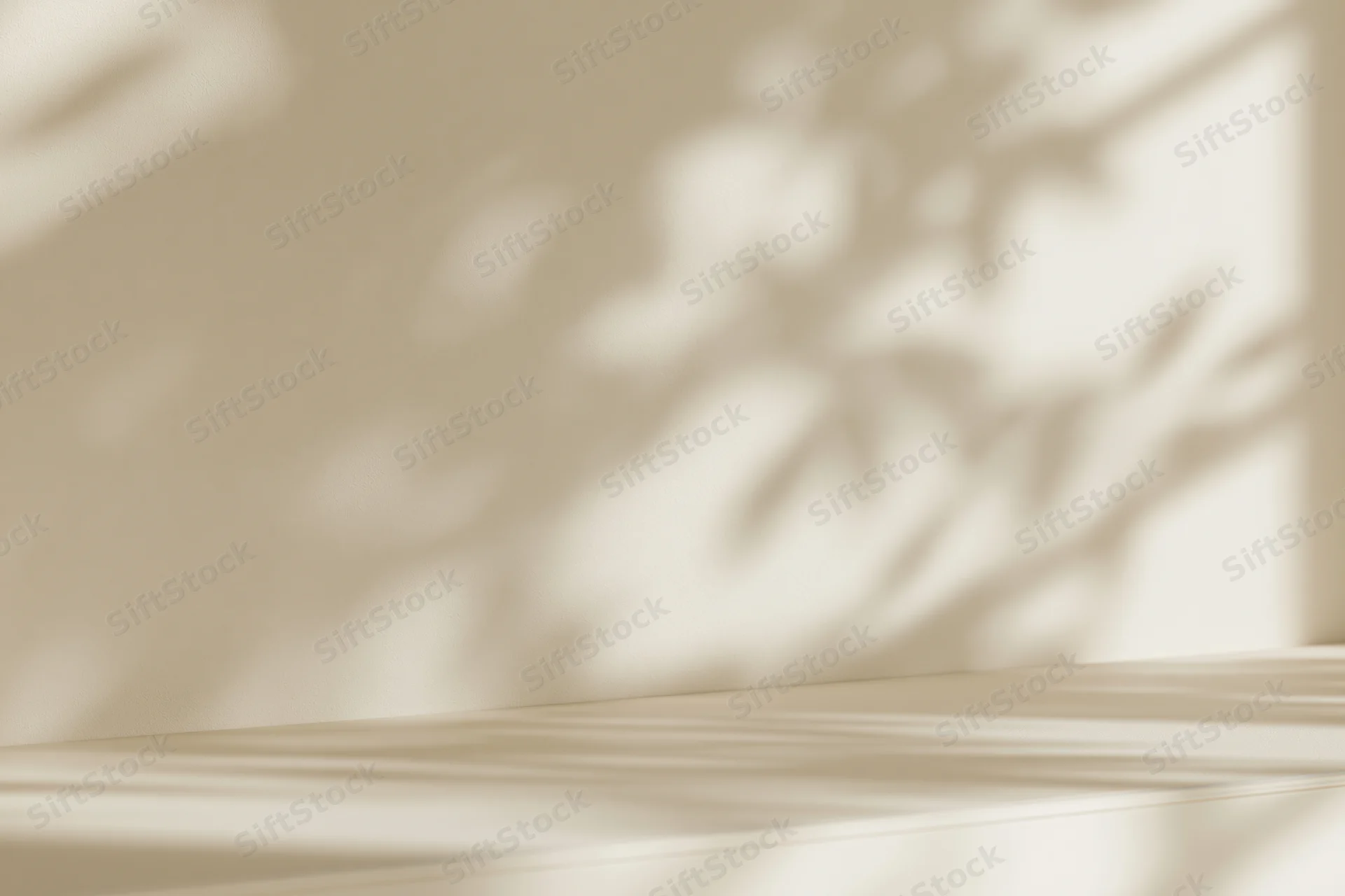 Cream-colored studio surface and wall with soft plant shadows from a window