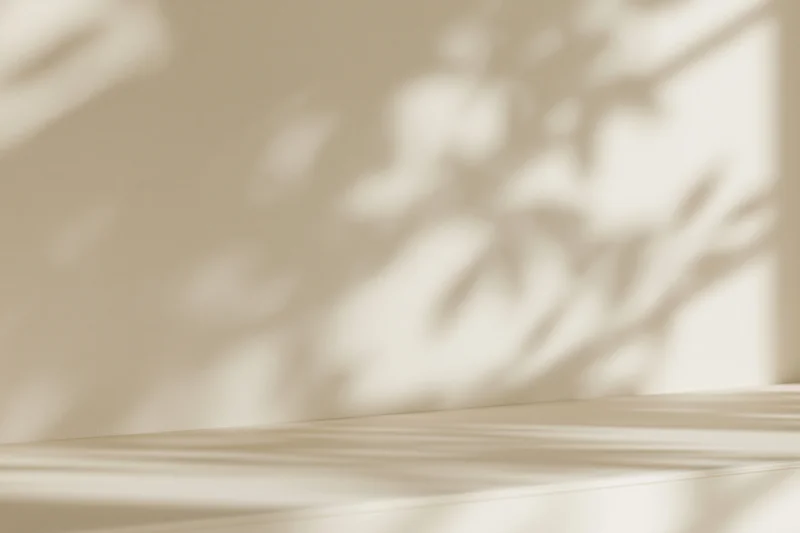 Cream-colored studio surface and wall with soft plant shadows from a window