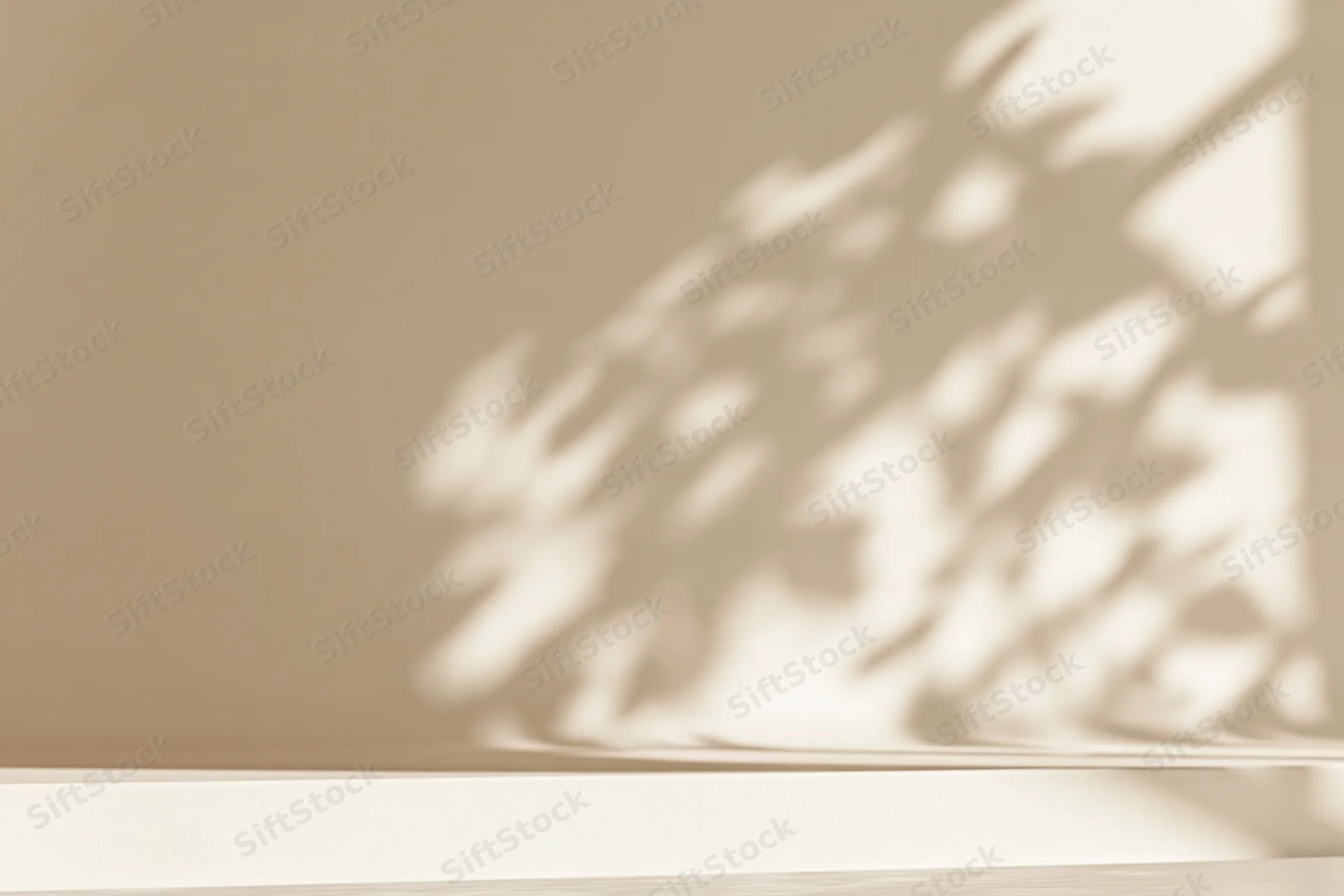 Cream-colored studio surface with soft plant shadow on wall backdrop