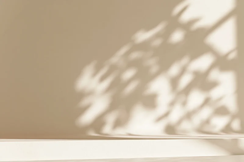 Cream-colored studio surface with soft plant shadow on wall backdrop