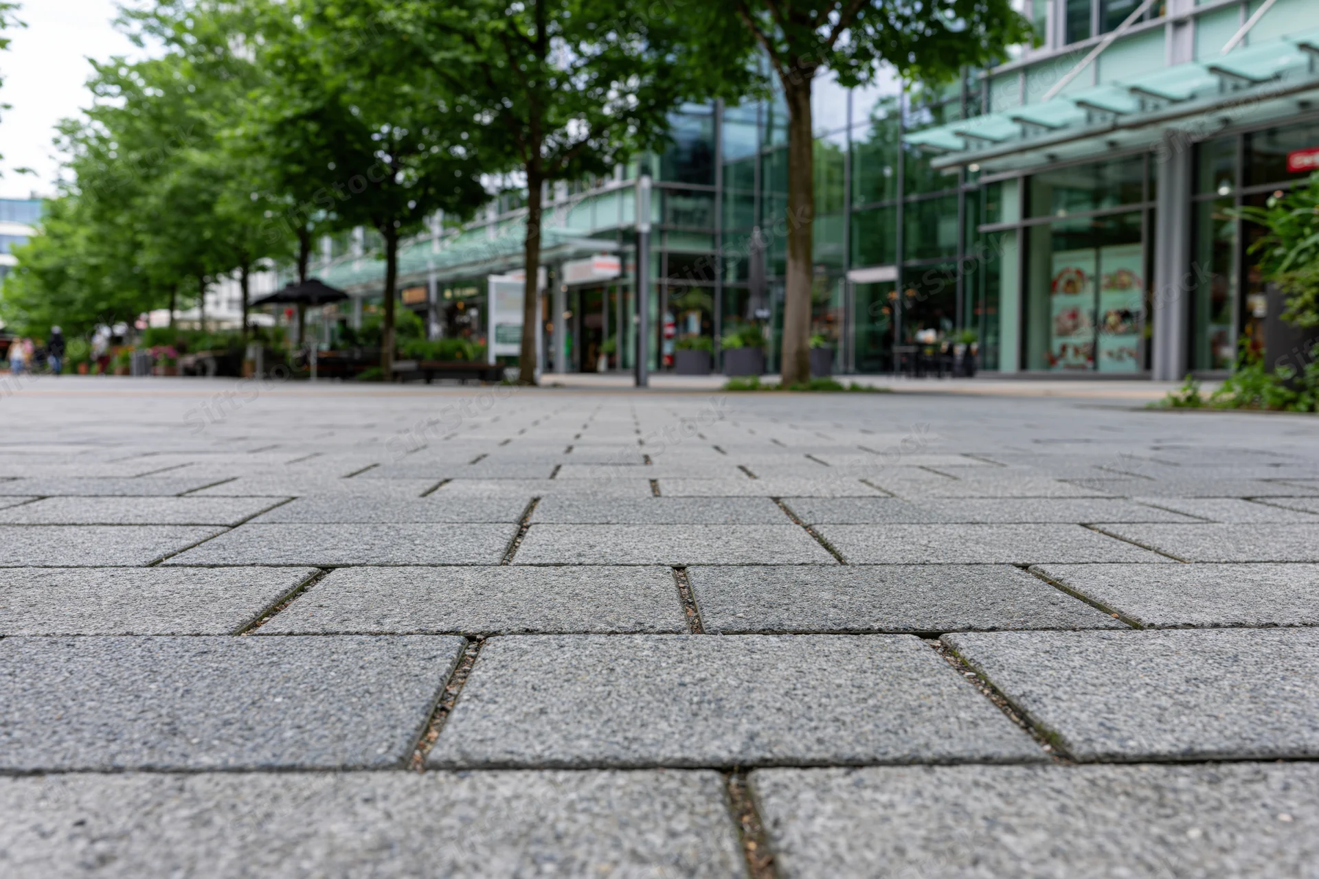 Low-angle view of gray stone pavement leading to modern glass storefronts in an urban plaza