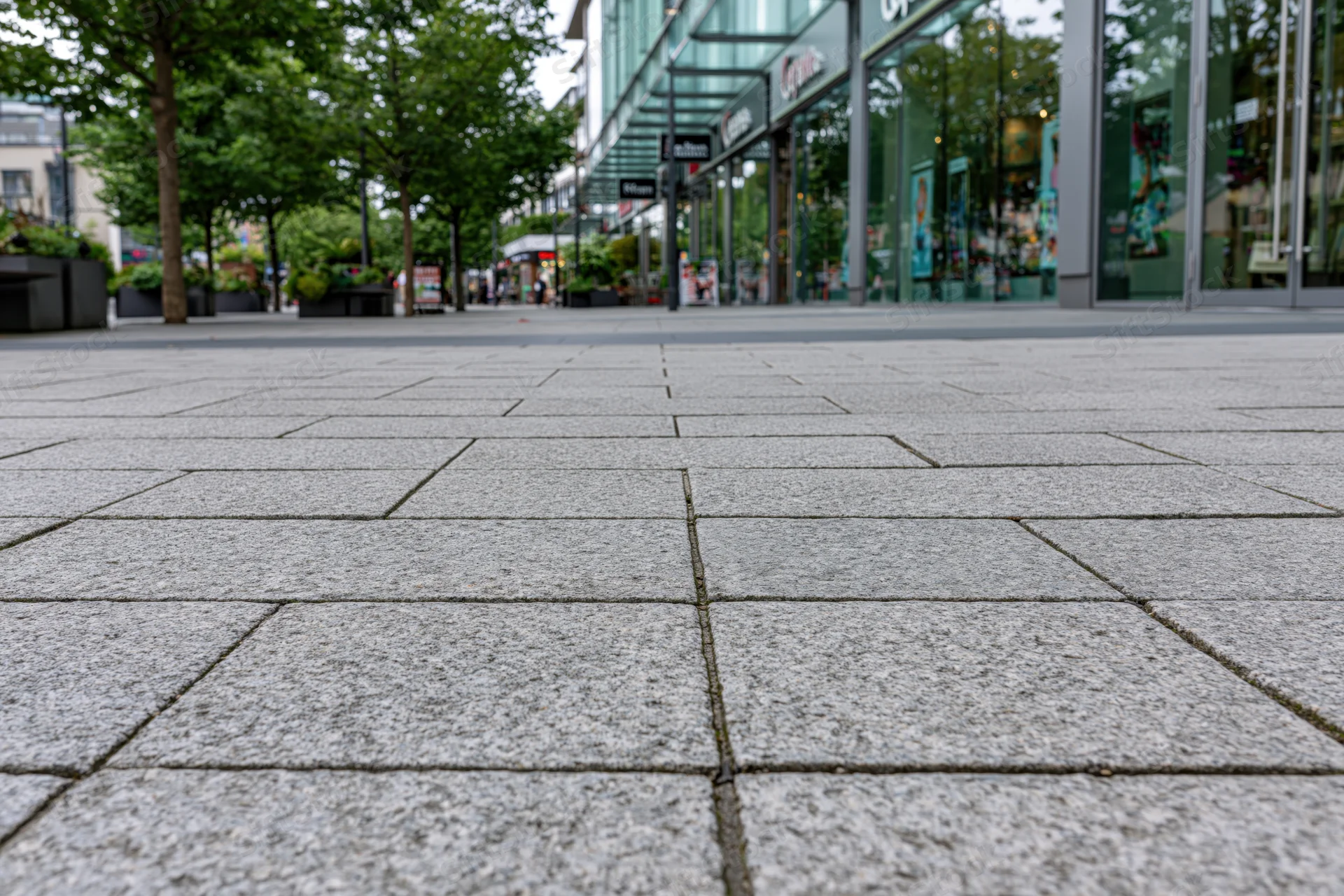 Low-angle view of gray stone pavement tiles leading toward modern glass storefronts in an urban plaza