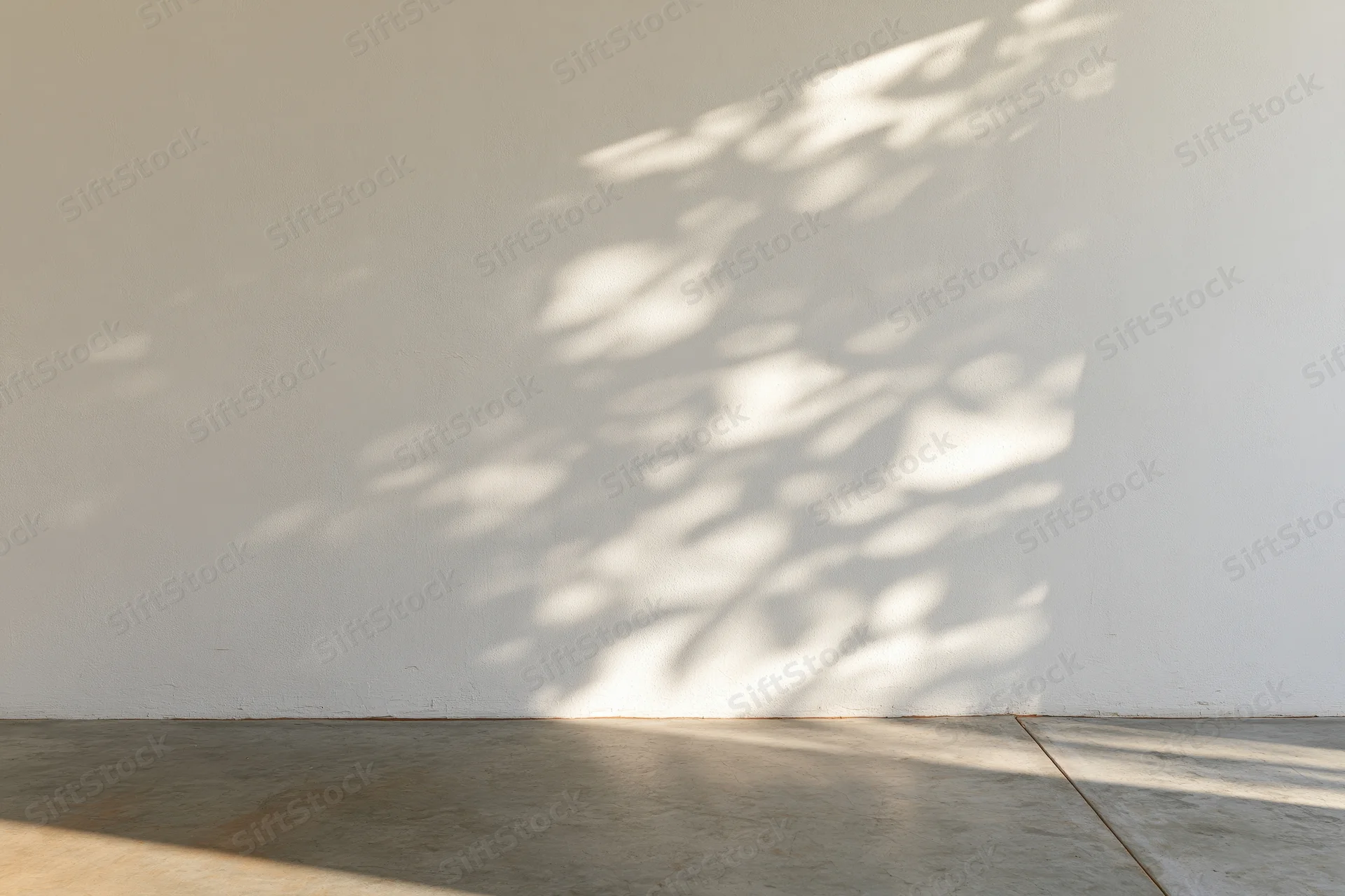Minimalist room corner with dappled leaf shadows on white plaster wall and concrete floor